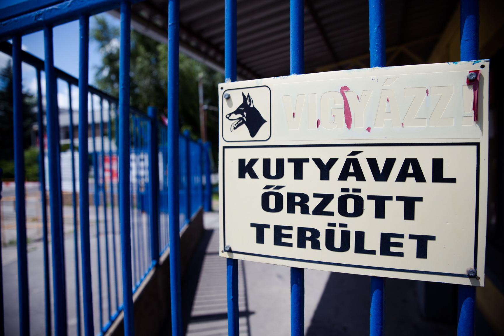 Biztonsági- és kapuőrség